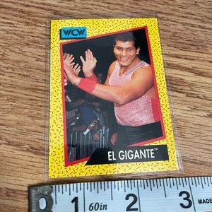 1991 WCW card